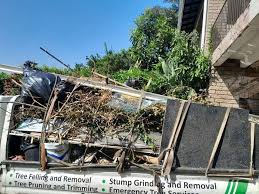 Best Commercial Junk Removal  in Brandon, SD
